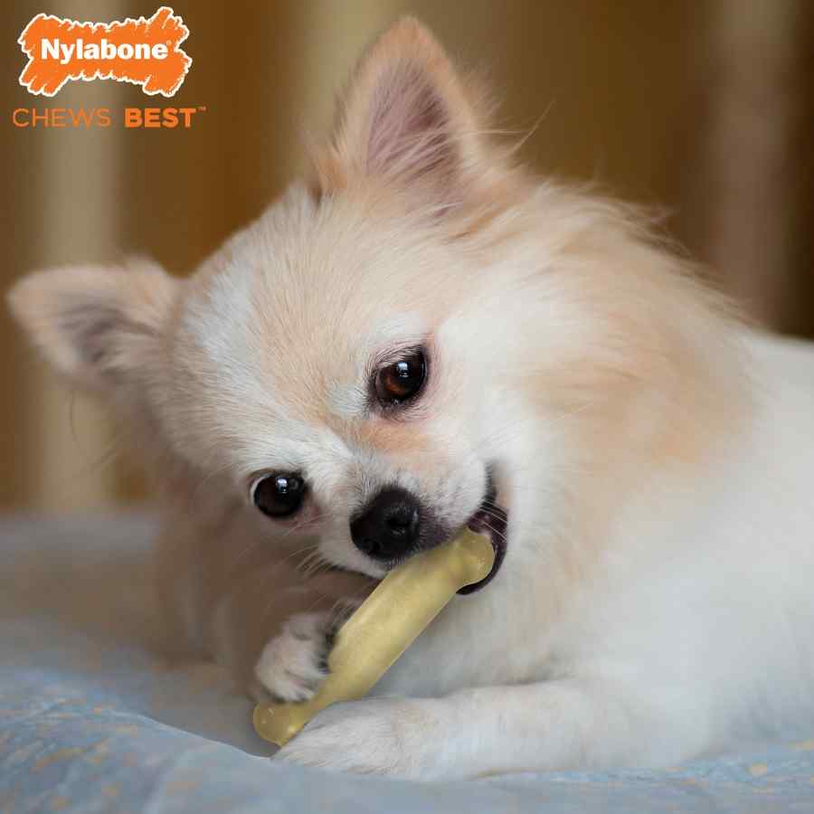 Nylabone Hueso De Pollo Masticable Flexi Chew Triple Pack (Res, Mantequilla De Mani Y Tocino) Xs, , large image number null